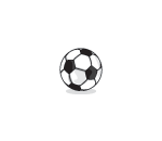 Official SPP Soccer Ball