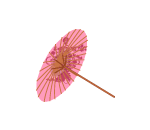 Plum Blossom Umbrella