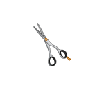 Professional Styling Scissors