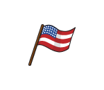 Mini USA Flag