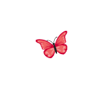 Peachy Butterfly