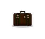 Loaded Luggage