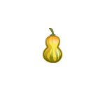 Yellow Bicolor Gourd