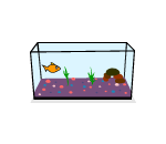 Tropical Fish Tank