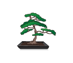 Mini Bonsai Tree