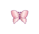 Pink Butterfly