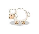 Sheepish Sheep