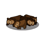Hibernating Bears
