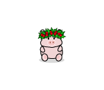 December Pig Plushie