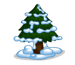 Chilly Evergreen Tree