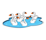Seven Swans a Swimming