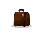 Rolling Brown Luggage