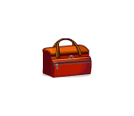 Red Travel Bag