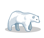 Arctic Polar Bear