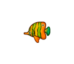 Orangy the Tropical Fish