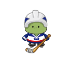 USA Hockey Turtle Plushie
