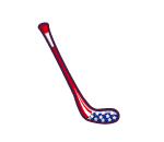 USA Hockey Stick
