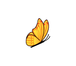 Golden Flying Butterfly