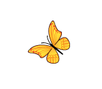 Golden Floating Butterfly