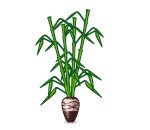 Bamboo Vase