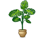 Nice Potted Plant