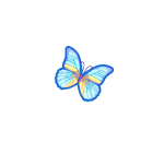 Beloved Butterfly
