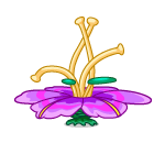 Pandorable Flower