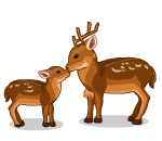 Spring Deer and Fawn