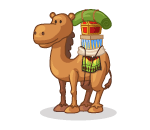 Persian Camel