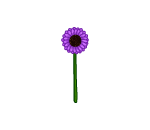 Springy Purple Daisy