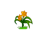 Springy Daffodils