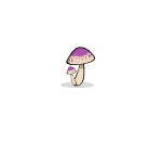 Jungle Mushrooms