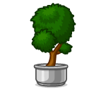 Small Potted Tree