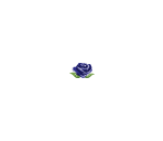 Stemless Blue Rose