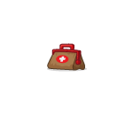 Doctors Medical Bag