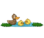 Cute Lil Duck Pond