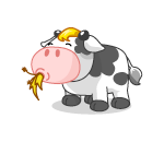 Hungry Hungry Cow