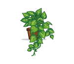 Potted Stoop Plant
