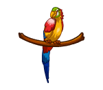 Red Petdive Parrot