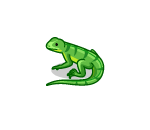 Bright Green Lizard