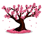 Blossoming Plum Tree
