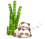 Bamboo Lullaby