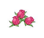 Bloomin Roses