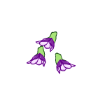 Bloomin Violets