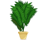 Large Potted Fern