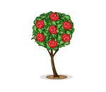 Red Rose Topiary