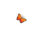 Orange Butterfly