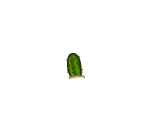 Runty Cactus