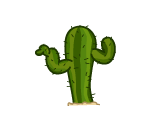 Big Boss Cactus