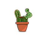 Potted Cacti